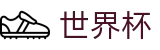2026世界杯买球网站-世界同心逐梦前行